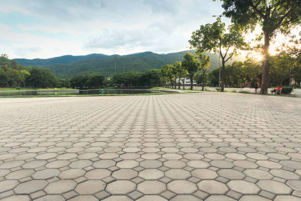 Best Custom Driveway Pavers  in Fremont, NC