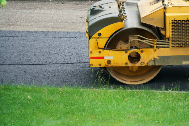 Best Professional Driveway Pavers  in Fremont, NC